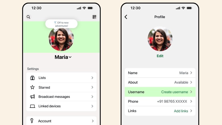 Smartphone screen showing the WhatsApp profile settings page on an iPhone with the username field highlighted.