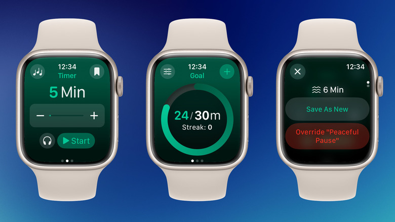 Zenitizer meditation timer and daily goals on Apple Watch screen.