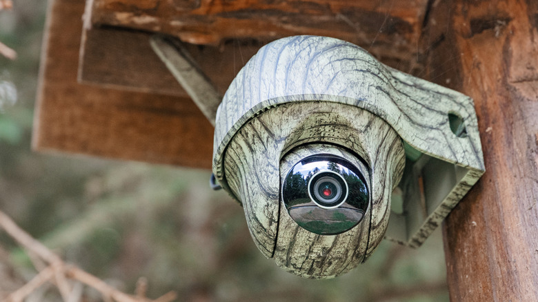 A security camera with a textured camouflage skin mounted on a dark wooden ceiling beam.