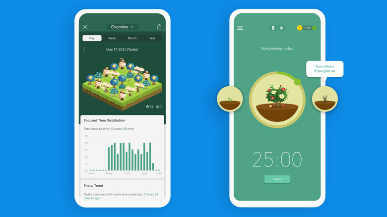 The Forest app interface displaying a focus timer and a collection of virtual trees representing productive hours.