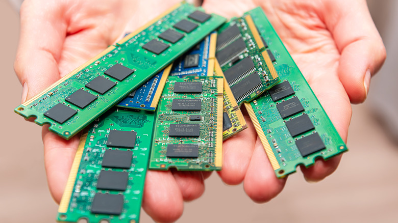 A close-up of a person holding a DDR5 desktop or laptop RAM module.