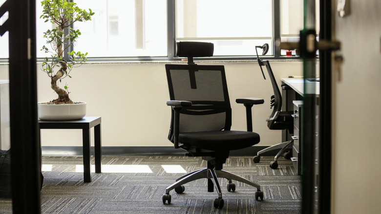 Detail view of a modern office chair with a grey mesh backrest and ergonomic support frame.