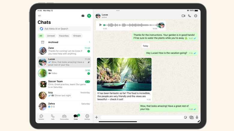 The WhatsApp interface running on an iPad, optimized for the tablet form factor.