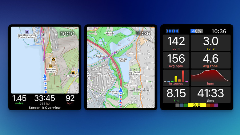 Detailed vector maps and fitness stats displayed in the WorkOutDoors app on Apple Watch.