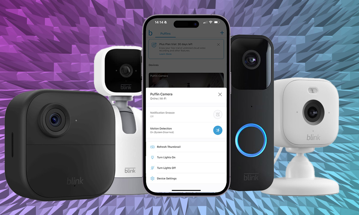 Blink Subscription Plans 2026: Costs and Setup Guide