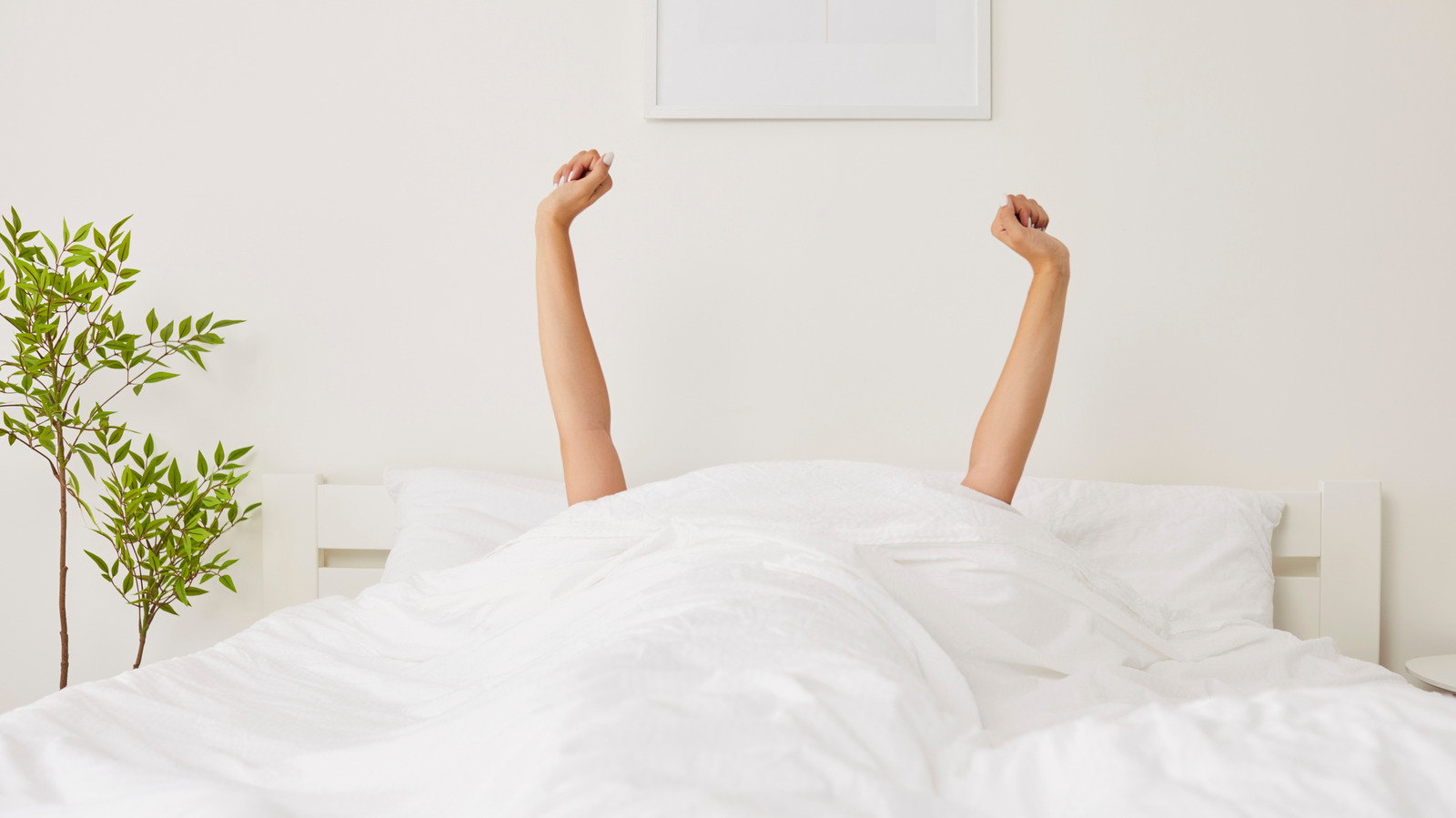 Why an Analog Alarm Clock Is Your Best Sleep Accessory