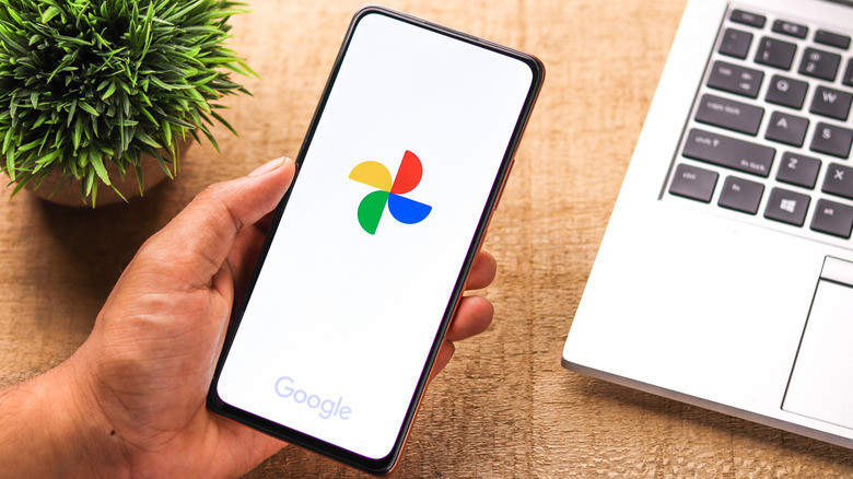 The Google Photos logo displayed on a modern smartphone screen.