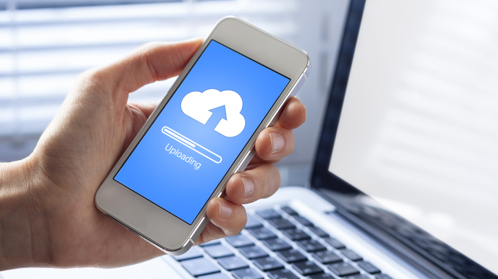 5 Best Photo Backup Apps for Seamless Storage (2026)
