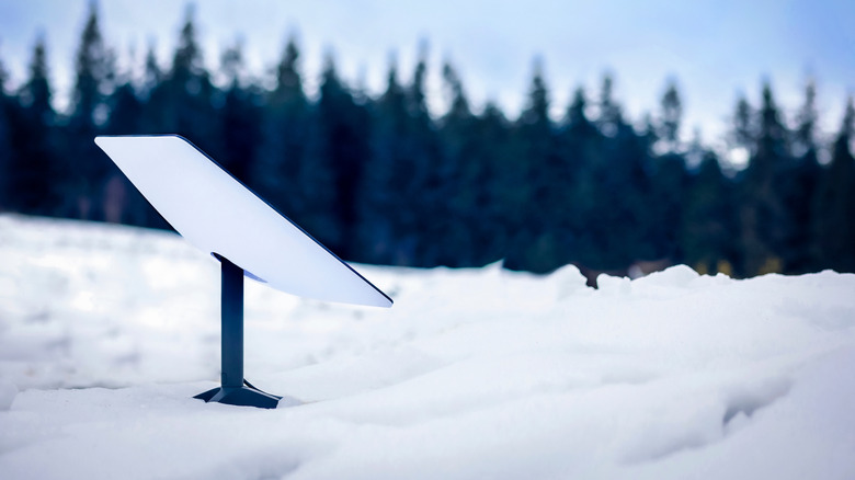 A Starlink satellite dish installed in a snowy outdoor setting with trees.