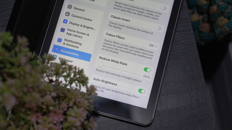 The Display and Brightness settings menu on iPadOS.